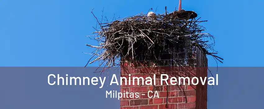 Chimney Animal Removal Milpitas - CA