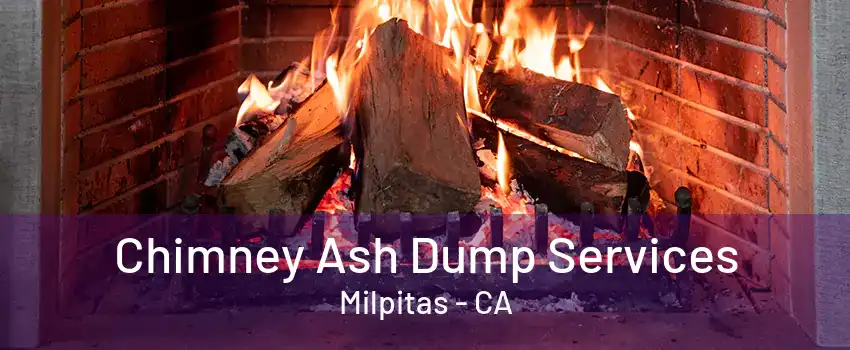 Chimney Ash Dump Services Milpitas - CA