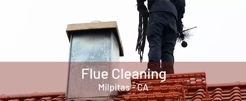 Flue Cleaning Milpitas - CA