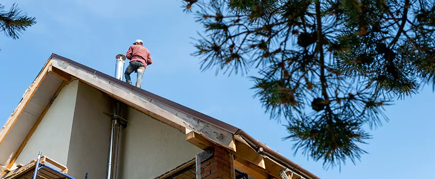 Birds Removal Contractors from Chimney in Milpitas, CA